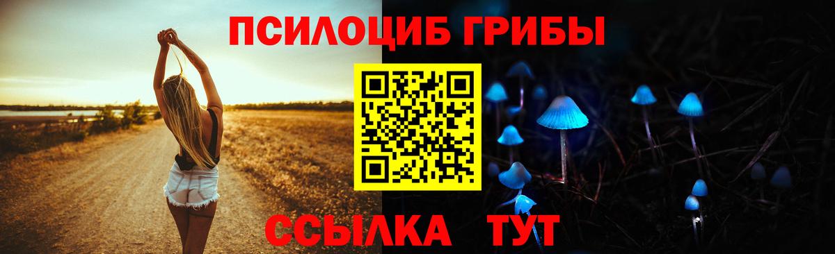 Псилоцибиновые грибы GOLDEN TEACHER Петропавловск-Камчатский